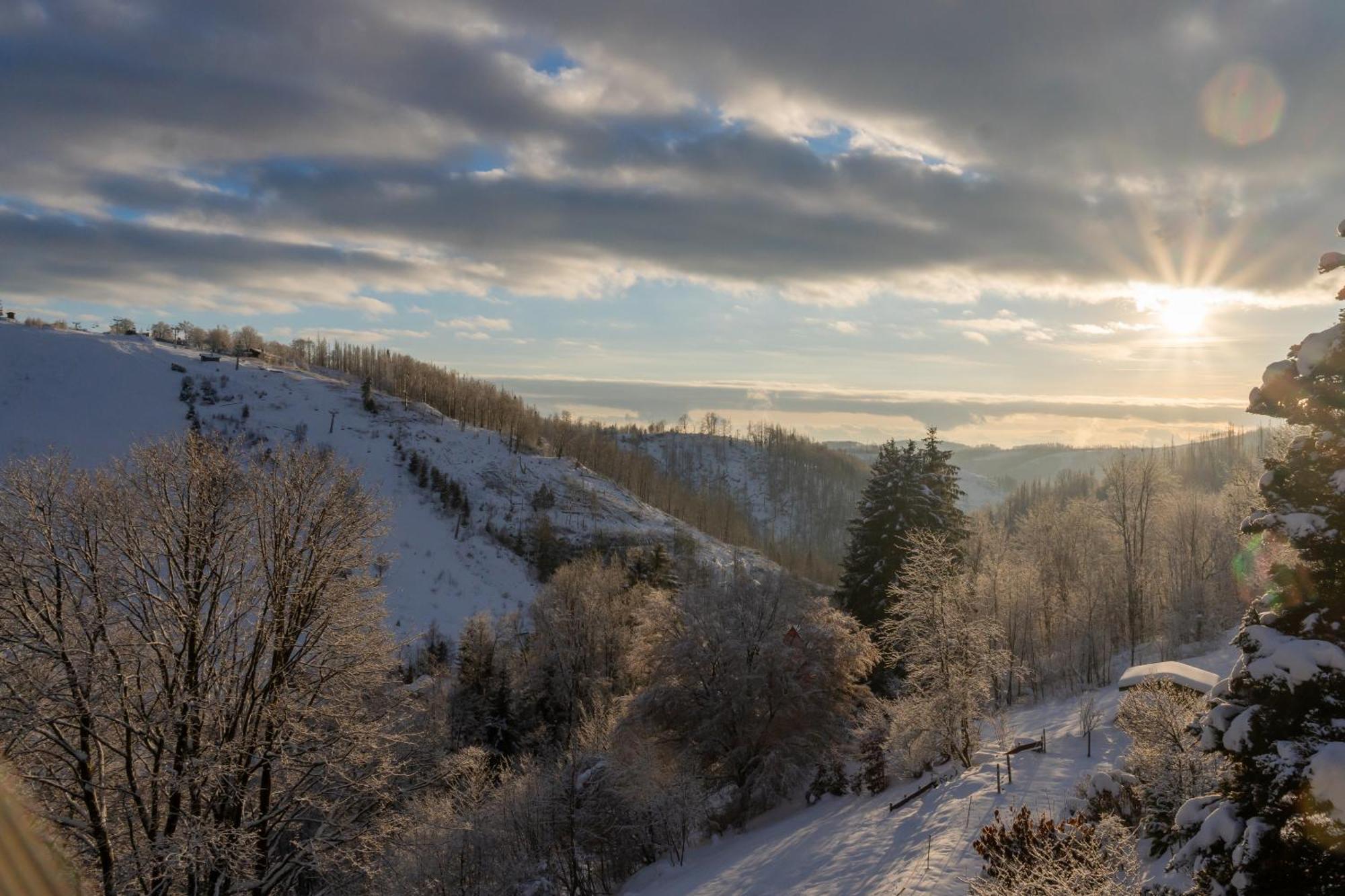 Harz Bnb Werkmeister Sankt Andreasberg Exteriér fotografie